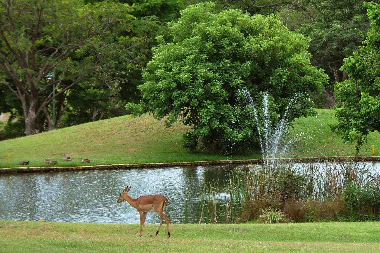 Kruger Park Lodge Unit No. 543 Hazyview Kültér fotó